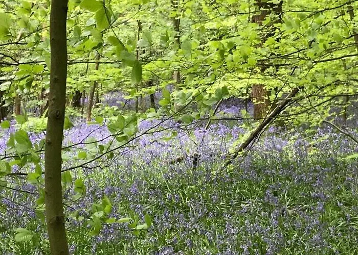 River Airebnb Homestay *