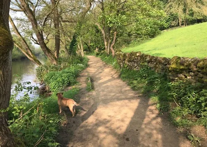 River Airebnb * Bradford (West Yorkshire)