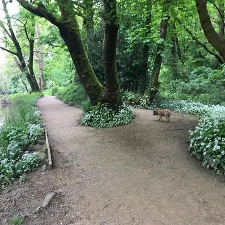 Quarto em Acomodações Particulares River Airebnb Bradford (West Yorkshire)