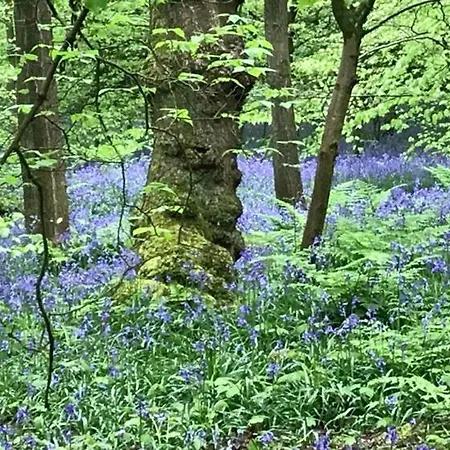 River Airebnb Bradford (West Yorkshire)