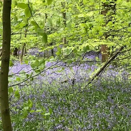 River Airebnb Quarto em Acomodações Particulares *