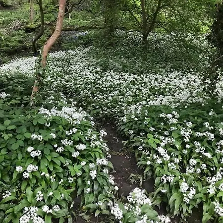 River Airebnb Privatunterkunft *