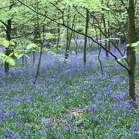 Privatunterkunft River Airebnb *