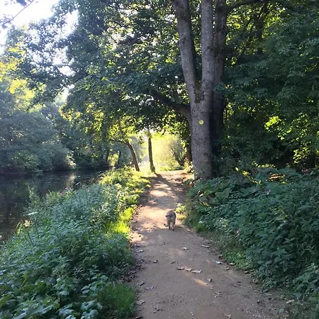 Privatunterkunft River Airebnb