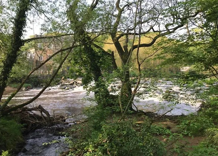 River Airebnb Проживание в семье *