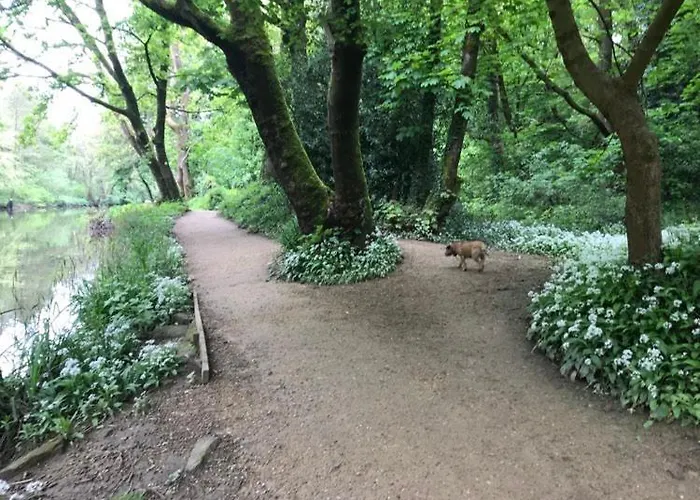 Проживание в семье River Airebnb Брадфорд
