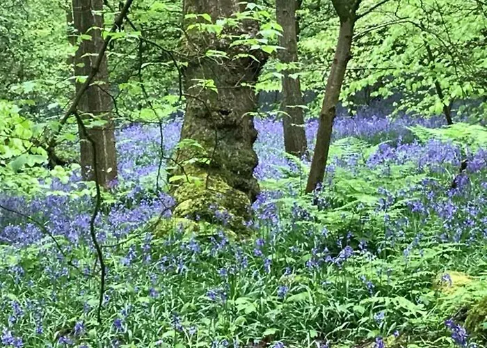 River Airebnb Брадфорд