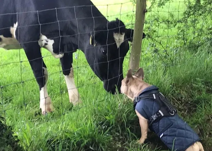 River Airebnb Quarto em Acomodações Particulares