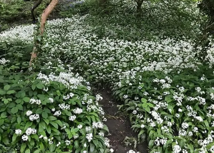 River Airebnb Проживание в семье *