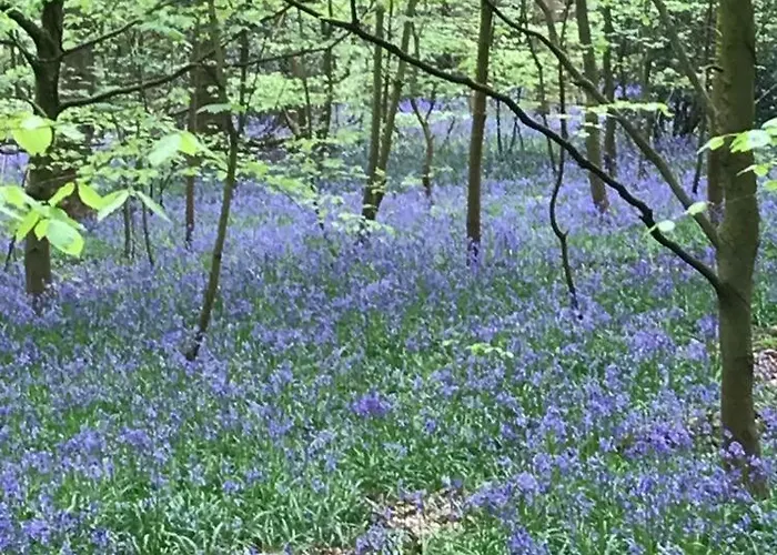 Проживание в семье River Airebnb *