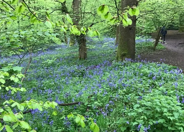 River Airebnb Проживание в семье Брадфорд