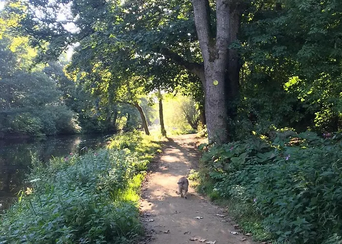 Проживание в семье River Airebnb