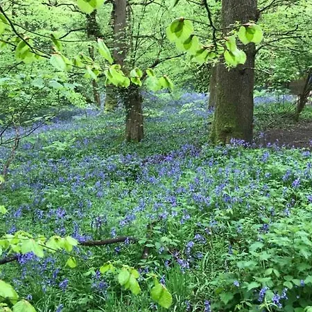 River Airebnb منزل للإقامة برادفورد